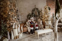Image 1 of The Santa Experience | A JSP Petite Studio Session