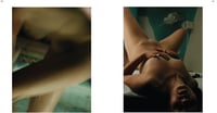 Image 3 of Natacha Merritt - Sexual Selection