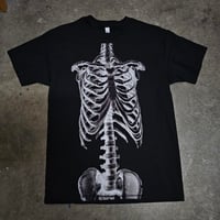 Image 1 of skeleton
