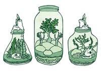 Image 1 of Terrarium sticker pack