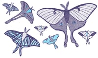 Image 1 of Moth sticker pack