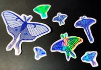 Image 2 of Moth sticker pack