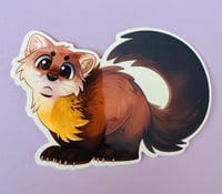 Image 1 of Marten Stare Sticker