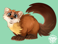 Image 2 of Marten Stare Sticker