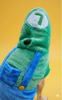 Image 3 of Luigi Dog Hoodie 