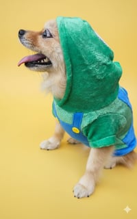 Image 1 of Luigi Dog Hoodie 
