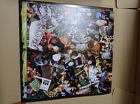 Image 3 of The Meteors -  vs. The world double LP set red or green