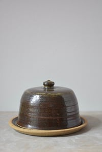 Butter Dish - Lichen