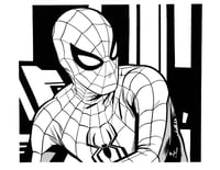 Image 1 of SPIDEY!