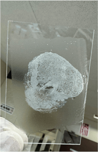 Image 4 of Histology Laboratory