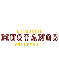 Image 1 of Mustang Volleyball Hoodie