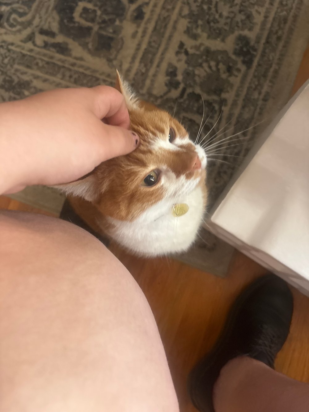 Image of Fat baby!
