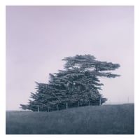 Image 1 of Solid Ground