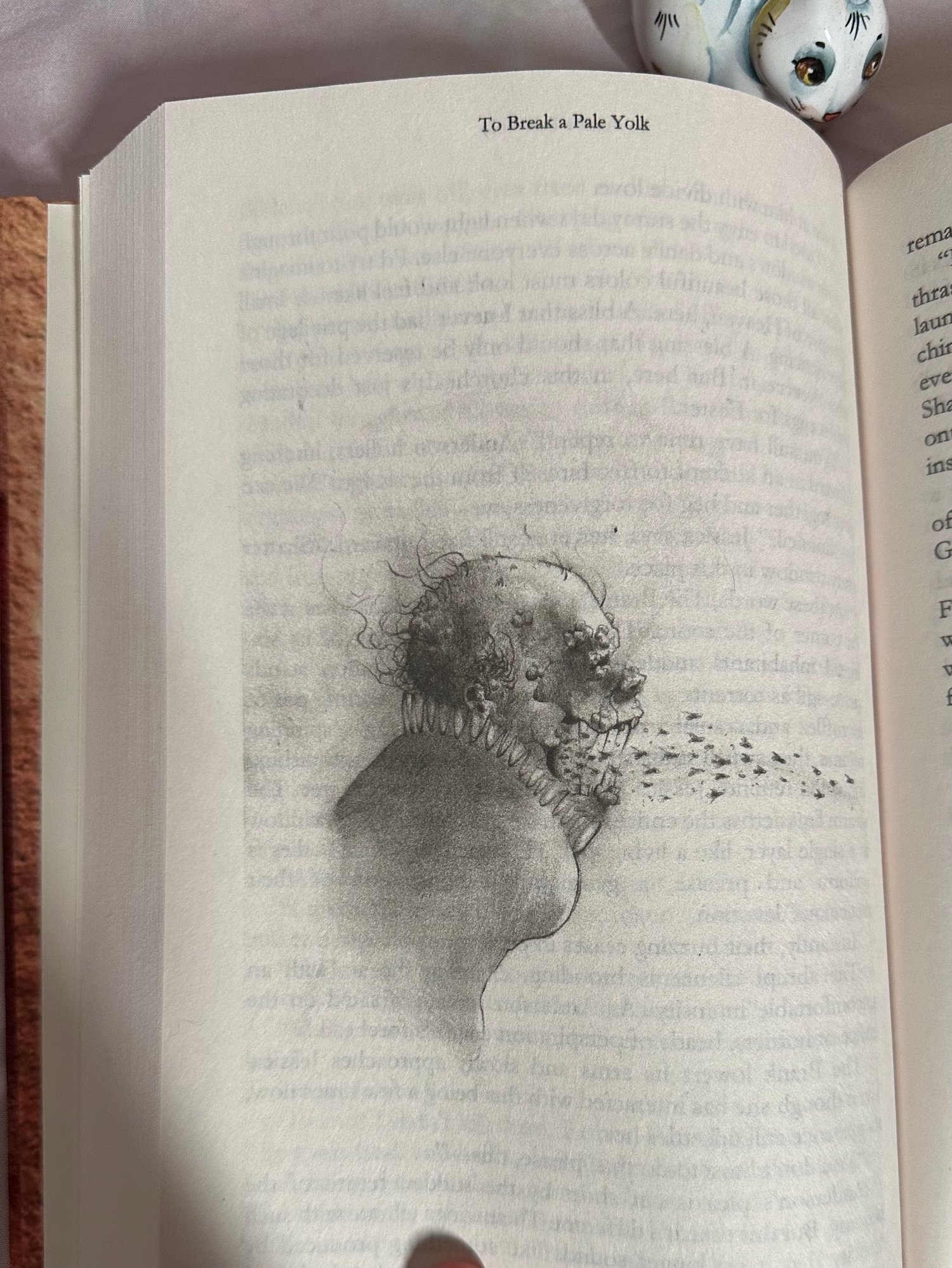 Image of To Break a Pale Yolk Signed & Numbered Limited Hardcover w/illustrations