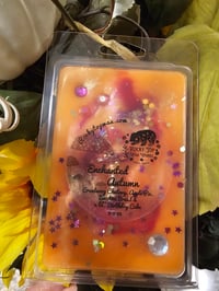Image 11 of Enchanted Autumn- A Rockytop Wax Works exclusive custom houseblend fragrance 