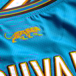 Image of Forever Teal - 2025 primary jersey 