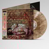 Image 3 of BLOODSOAKED - Frost Image [12" VINYL]