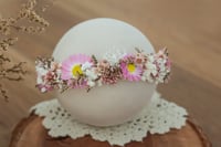 Newborn/Sitter Halo 28