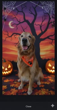 Image 2 of Spooky Cat