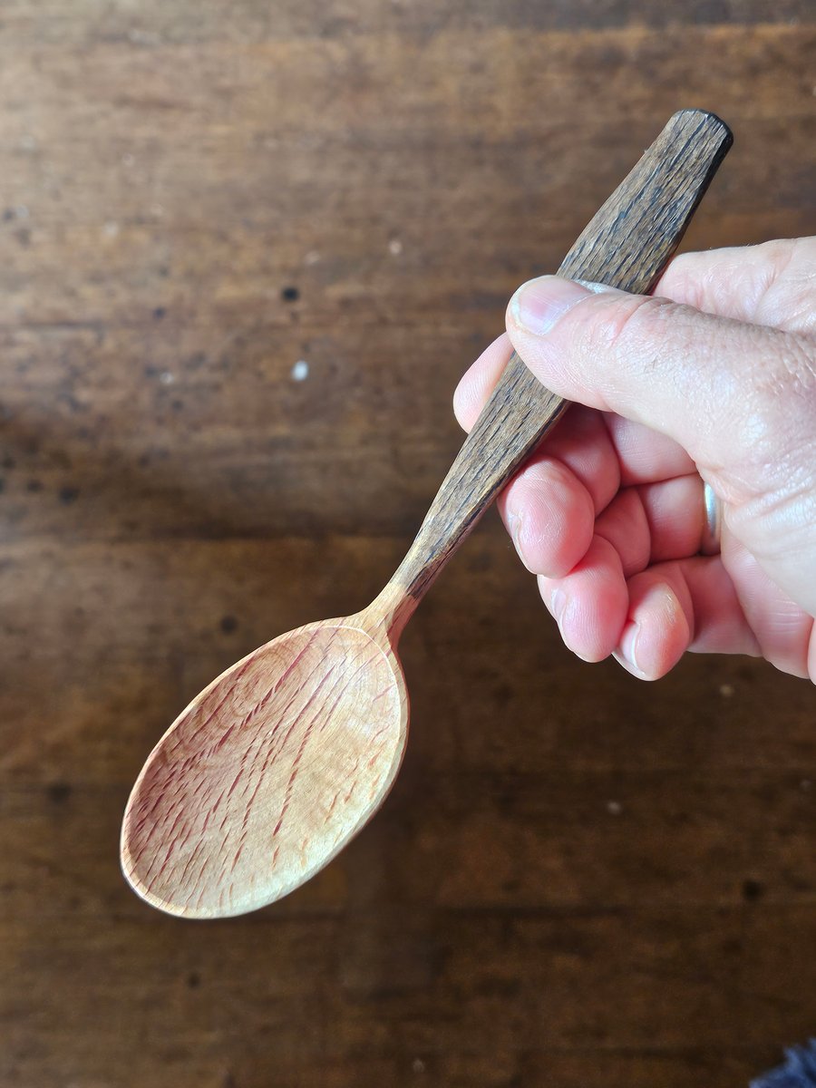 Image of She-oak eating soulspoon 