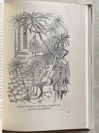 Image 5 of The Tranquil Gardener by Robery Gathorne-Hardy