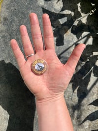 Image 1 of I'VE BEEN ON A STONE HUNT BADGE