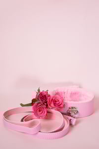 ARTPRINT pink leash