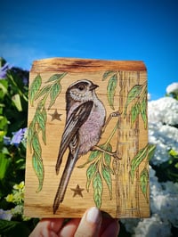 Long Tailed Tit - original pyrography work