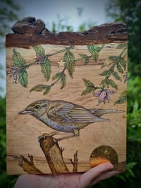 Willow Warbler - original pyrography work