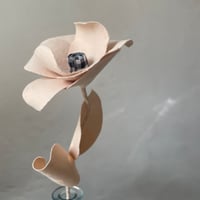 Image 4 of La roulottée n*3