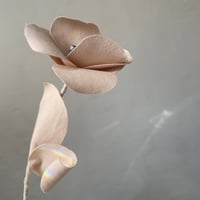 Image 5 of La roulottée n*3