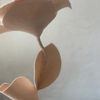 Image 6 of La roulottée n*3