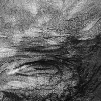 Image 4 of Waves of Wood  IV