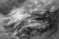 Image 2 of Waves of Wood  IV