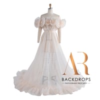 Image 8 of Noor Gown