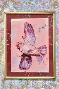 Image 1 of Moineau  print encadré A5- Sparrow framed A5 print