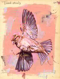 Image 2 of Moineau  print encadré A5- Sparrow framed A5 print