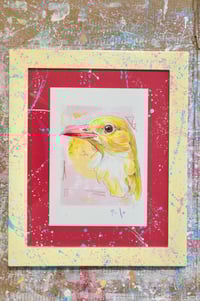 Image 1 of Golden oriole framed A4 print- Loriot doré print encadrée A4 