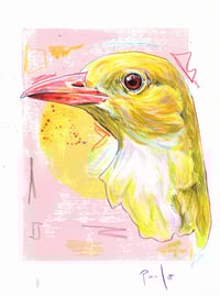 Image 2 of Golden oriole framed A4 print- Loriot doré print encadrée A4 
