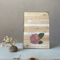 Image 2 of Amour à la vie 