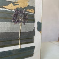 Image 5 of La lumière est un regard 