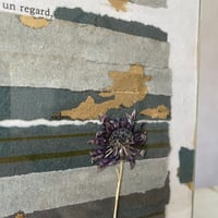 Image 6 of La lumière est un regard 