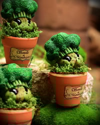 Image 3 of Mini mandrágora brócoli (versión huerto)