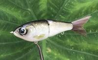 Image 1 of SPEEDBAITS Custom Airbrushed Glidebait 9094