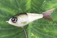 Image 4 of SPEEDBAITS Custom Airbrushed Glidebait 9094