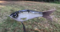 Image 9 of SPEEDBAITS Custom Airbrushed Glidebait 9094