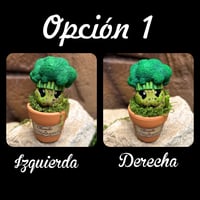 Image 7 of Mini mandrágora brócoli (versión huerto)