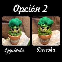 Image 8 of Mini mandrágora brócoli (versión huerto)