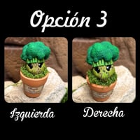 Image 9 of Mini mandrágora brócoli (versión huerto)