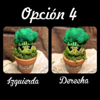 Image 10 of Mini mandrágora brócoli (versión huerto)